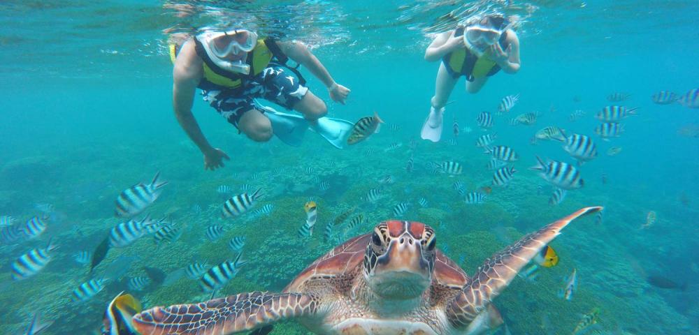 Piti Bay Marine Preserve Eco Snorkeling Tour | フィッシュ