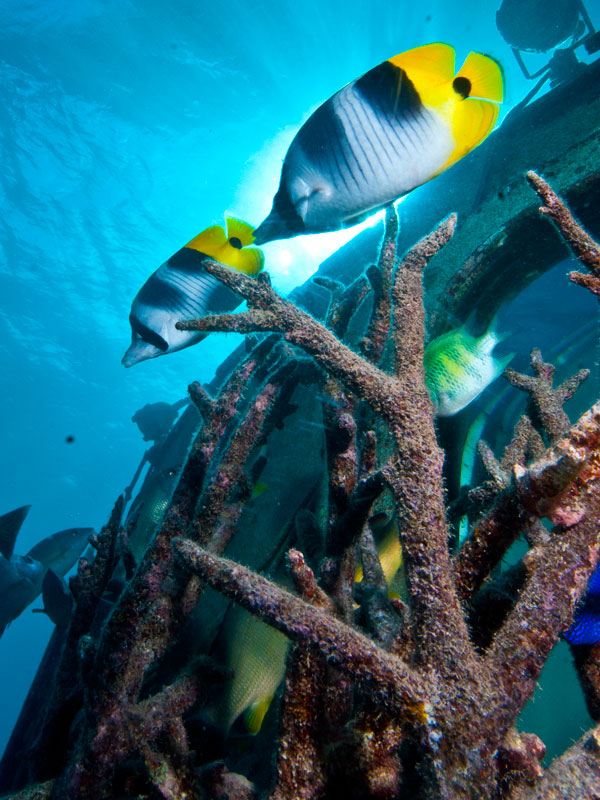 Underwater Observatory Image 3